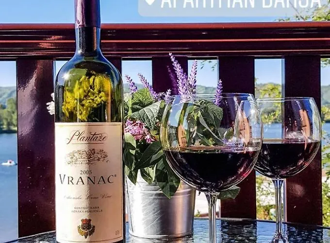 Darja Sa Pogledom Na Jezero Apartman Ostrovo